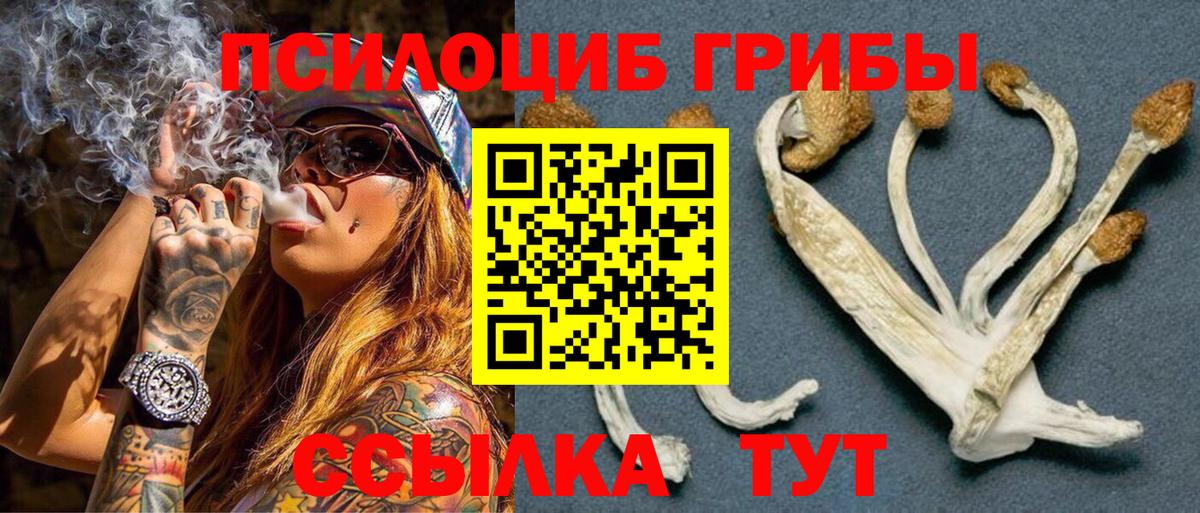 Пушкино  Псилоцибиновые грибы Psilocybe  Вход с VPN 